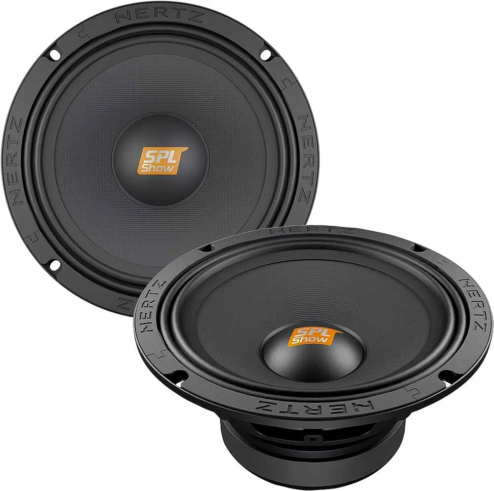 two 8" subwoofers for car